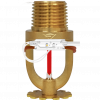 79