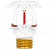79