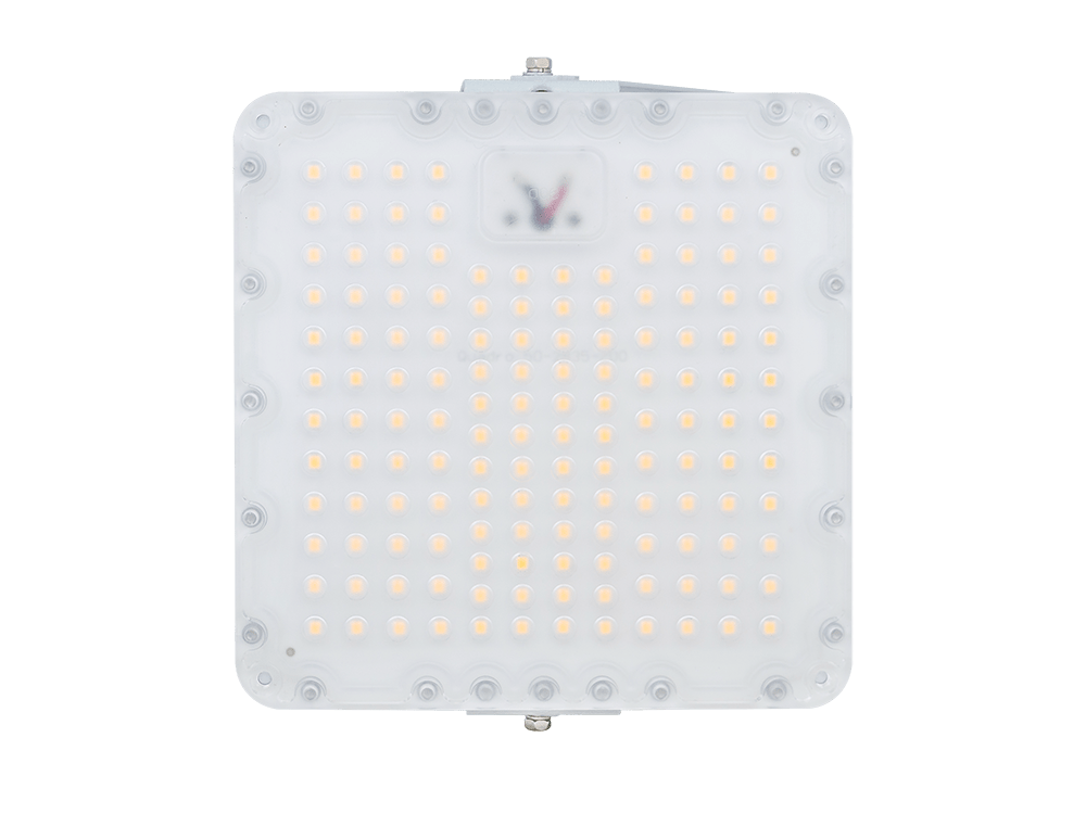 Quadro 25/3500 Д 4K Ra90 ZR лира, Diora, DQ25D4KRa90-ZR-L 5 20200407 1c 0x0 bc8 1