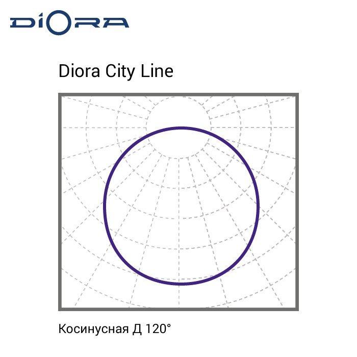 City Line L250 A, Diora, DCL-L250-A 8