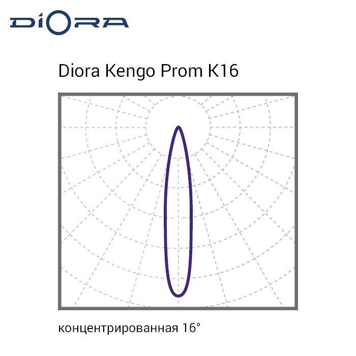 Kengo3 Prom 160/22000 К16 3K CS лира, Diora, DKP160K16-3K-CS-L 6 20250324 kss 229 0x0 3fe 2
